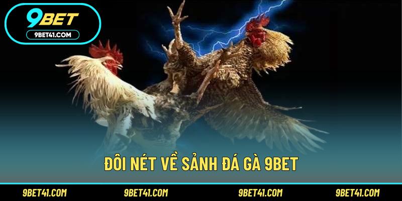 Đôi nét về sảnh đá gà 9Bet